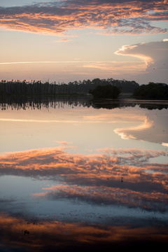 Sunrise at Orlando Wetlands Park