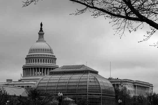 U.S. Capital and Botanic Gardens